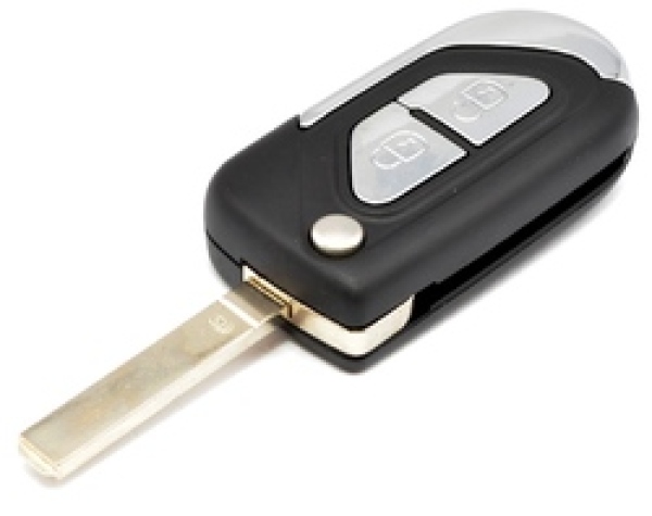 3D Group | [CTR20ac] DS3 Remote (OEM Board, Aftermarket Case) - Flip